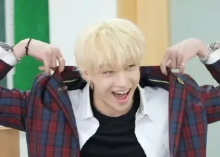 🌟 emoji Stray Kids [Dingo School] Telegram sticker 19 of 66