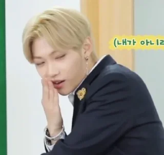 🌟 emoji Stray Kids [Dingo School] Telegram sticker 15 of 66