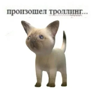 😥 emoji мемная папка влада Telegram sticker 14 of 118