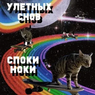 😴 emoji мемная папка влада Telegram sticker 20 of 118