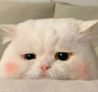 🥺 emoji Ymitime Telegram sticker 15 of 42