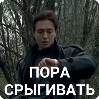 🌟 emoji Братва рвется к власти Telegram sticker 20 of 28