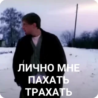 🌟 emoji Братва рвется к власти Telegram sticker 16 of 28