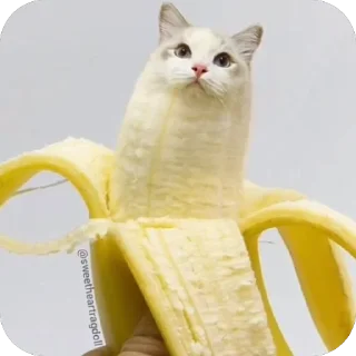 🫥 emoji котики Telegram sticker 16 of 18