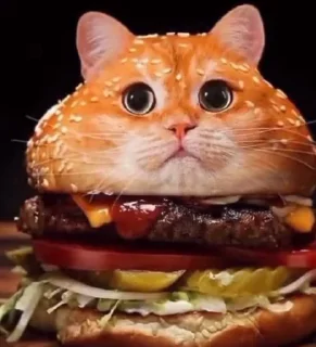 🍔 emoji котики Telegram sticker 11 of 18