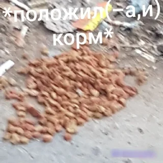 Sticker from Котики из дома и улицы