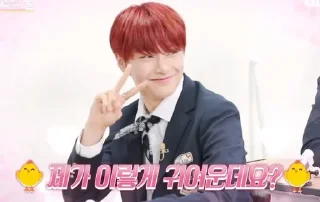 🌟 emoji Stray Kids [Dingo School] Telegram sticker 1 of 66