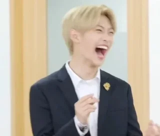 🌟 emoji Stray Kids [Dingo School] Telegram sticker 14 of 66
