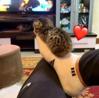 💋 emoji обнимашки Telegram sticker 10 of 84
