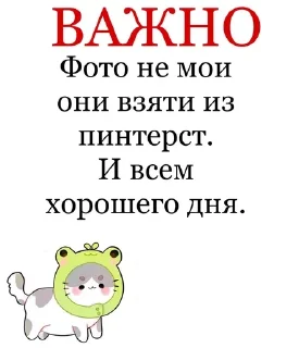 💭 emoji Мяу Telegram sticker 11 of 17