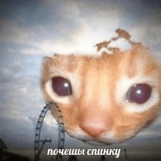 🥹 emoji миу Telegram sticker 10 of 33