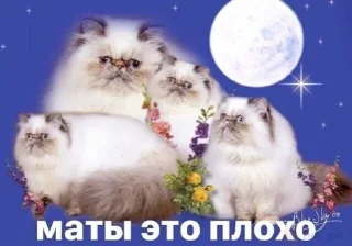 🌟 emoji каты Telegram sticker 24 of 93