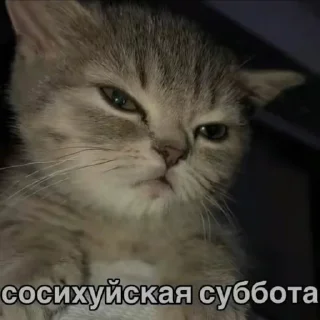 Sticker from AllBadDays