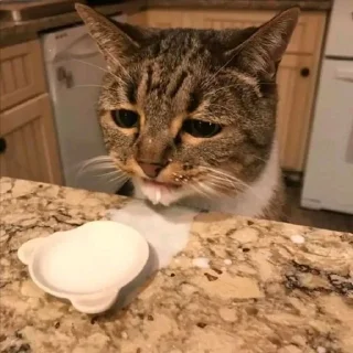 😭 emoji Сатантика Telegram sticker 6 of 91