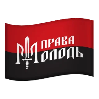 🤩 emoji САНІТАРСЬКИЙ ДВІЖ Telegram sticker 14 of 67