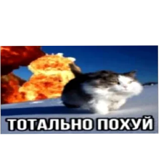🔥 emoji Nyashkavkusnyashka Telegram sticker 10 of 52