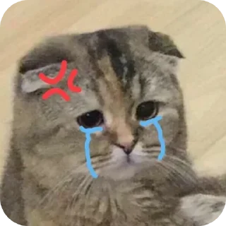 🌟 emoji котики Telegram sticker 14 of 69