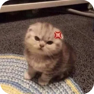 🌟 emoji котики Telegram sticker 7 of 69