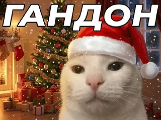 🌟 emoji Пока 2025 :: @Midzusset @sevvk Telegram sticker 8 of 76