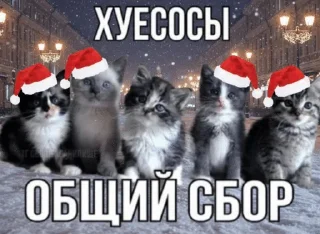 🌟 emoji Пока 2025 :: @Midzusset @sevvk Telegram sticker 18 of 76