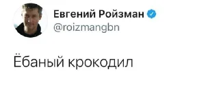 🐊 emoji ЕвГений Ройзман @roizmancomments Telegram sticker 7 of 91