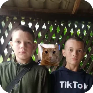 😎 emoji Пан Telegram sticker 15 of 15