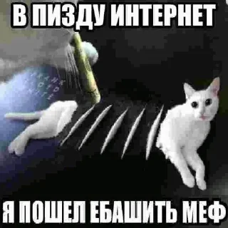 Sticker from абоба