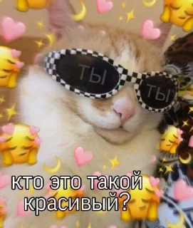 😍 emoji Кошарки от Мотьки Telegram sticker 5 of 32