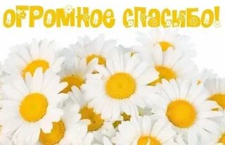 ❤️ emoji СПАСИБО! @PartridgeCharacters Telegram sticker 22 of 51