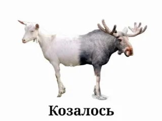 🌟 emoji Лоботомия by @Taburyetka Telegram sticker 5 of 69