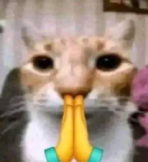 🙏 emoji життє Telegram sticker 16 of 116