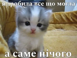 Sticker from Життє контін'ю by @soycheeka