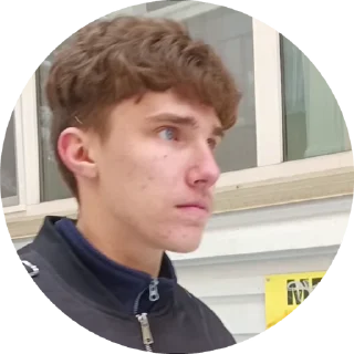 🌟 emoji SigmaЗдравик Telegram sticker 6 of 29