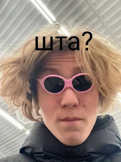 🧐 emoji ершик Telegram sticker 8 of 12