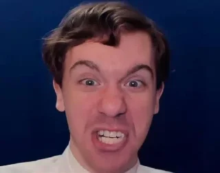 🤬 emoji Тигрята Хуигрята Telegram sticker 14 of 120