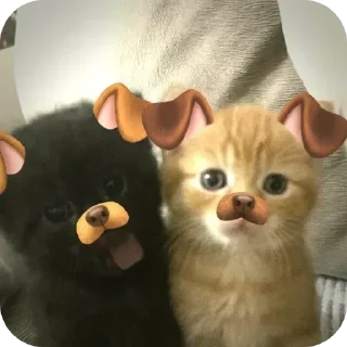 🤩 emoji onli Telegram sticker 8 of 8