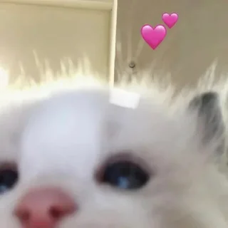 💞 emoji моё Telegram sticker 2 of 70