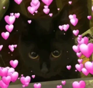 🥰 emoji котики Telegram sticker 7 of 41