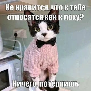 😘 emoji їбуча кіця Telegram sticker 14 of 52