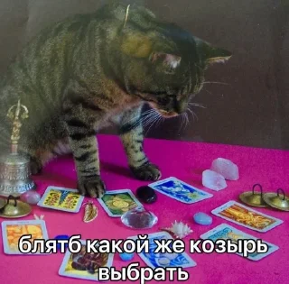 Sticker from мемотные