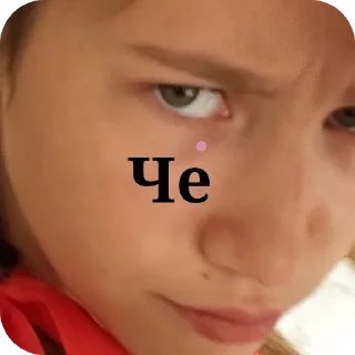 🤲 emoji Сюся бобр Telegram sticker 7 of 12