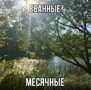 🩸 emoji Слова Telegram sticker 23 of 120