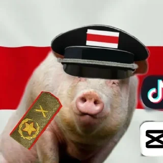 🐷 emoji уграинэнэ Telegram sticker 14 of 17