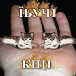 🥵 emoji Пес Ілля Telegram sticker 16 of 100