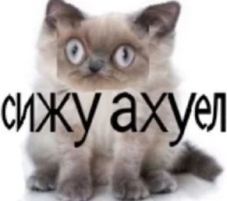 😳 emoji дид инсаыт Telegram sticker 7 of 97