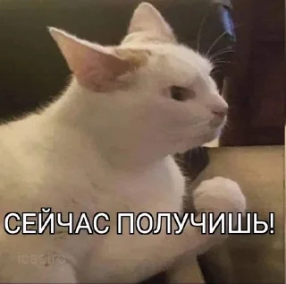 Sticker from Лучший дуэт