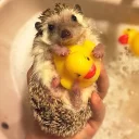 🔨 emoji hedgehog Telegram sticker 15 of 34