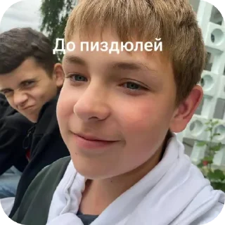 🙃 emoji Бурундуки 🦫 Telegram sticker 15 of 23