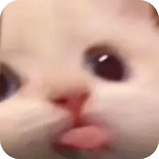 😋 emoji котики Telegram sticker 18 of 69