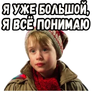 😎 emoji Один дома (2) :: @elsticko Telegram sticker 22 of 88